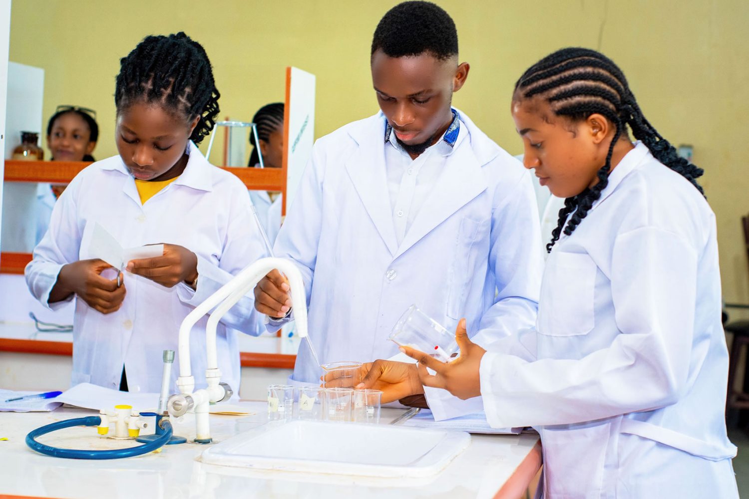 Experienced lecturers and mentorship